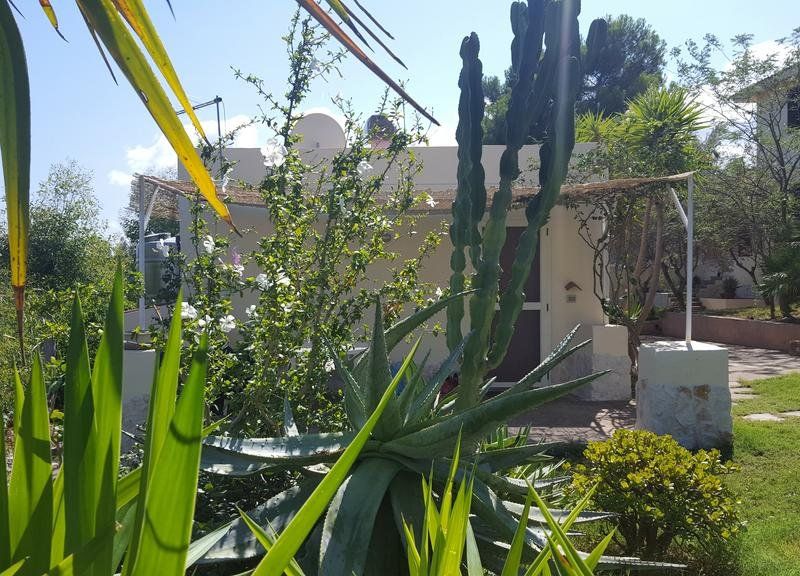صورة الفندق 18