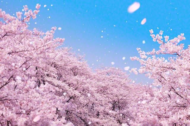 صورة الفندق 12