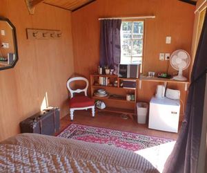 Wild Days Accommodation Oneroa New Zealand