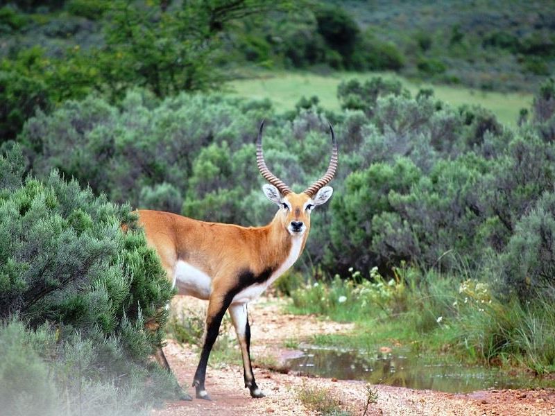 صورة الفندق 18