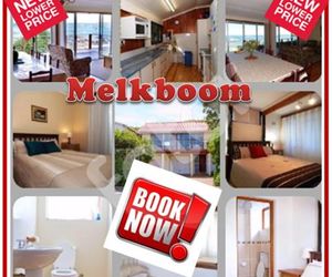 Melkboom Gansbaai South Africa