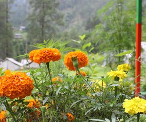 Parvati Camps Kasol Kasol India