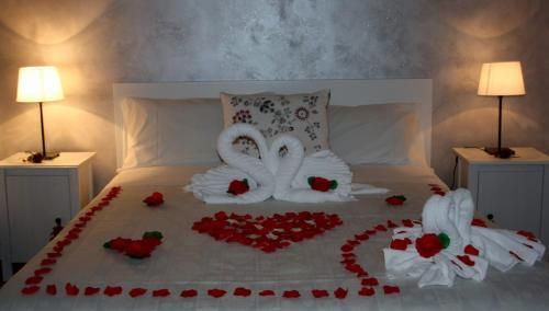 صورة الفندق 21