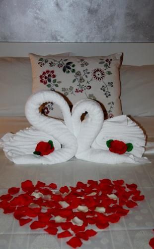 صورة الفندق 10