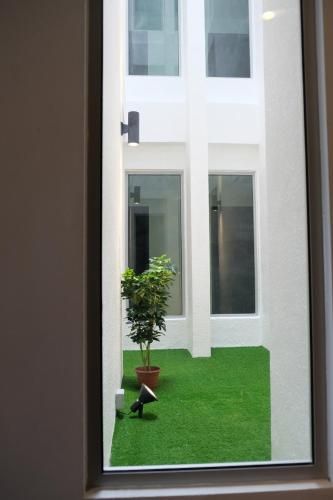 صورة الفندق 17