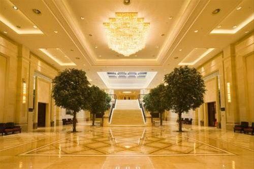 صورة الفندق 8