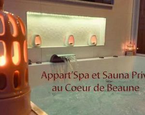 Appart Spa et Sauna Privatif Au Cœur De Beaune Beaune France