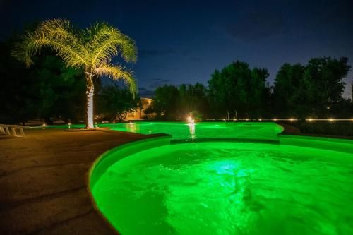 صورة الفندق 17