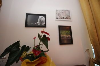 صورة الفندق 19