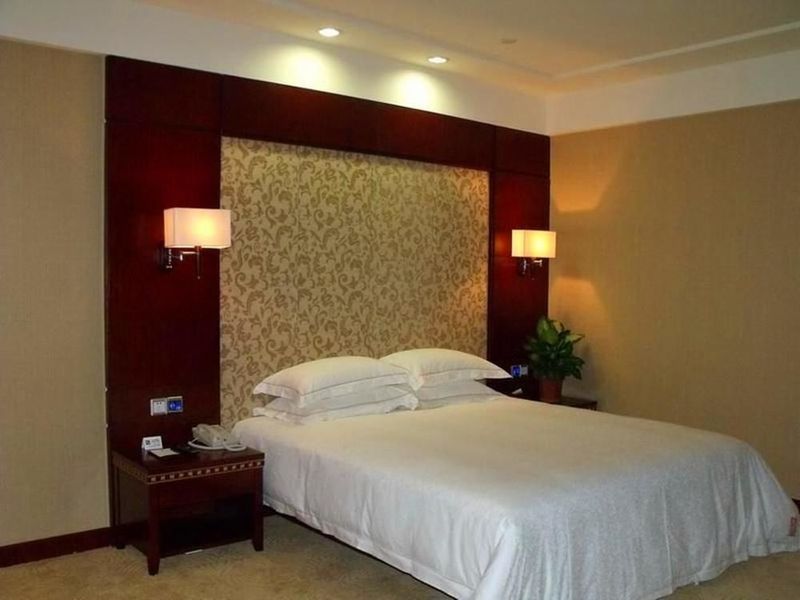 صورة الفندق 8
