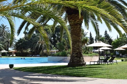 Hotel Photo 21