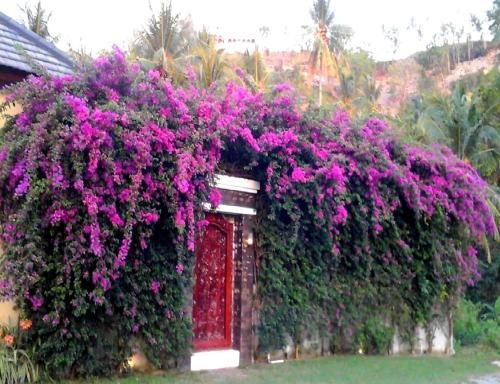صورة الفندق 5