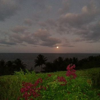 صورة الفندق 20