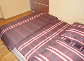 Apartment RF88 on Leninskiy 81