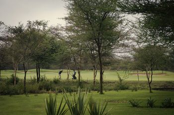 صورة الفندق 16