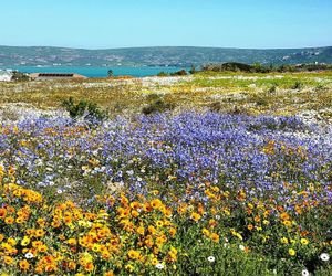 2 On the Beach 1 Self catering Langebaan South Africa