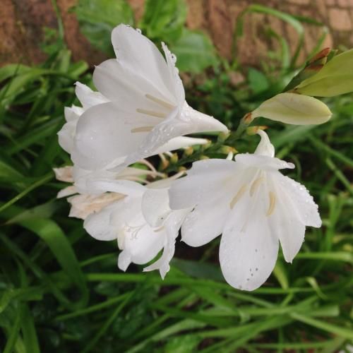 صورة الفندق 16