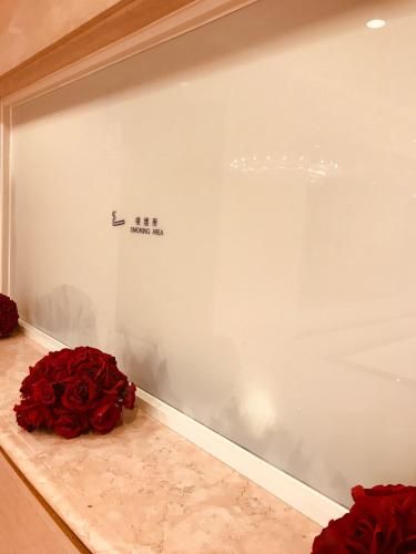 صورة الفندق 19