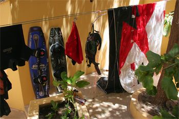 صورة الفندق 11
