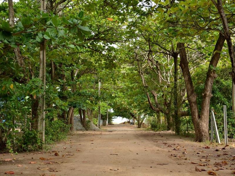 صورة الفندق 13