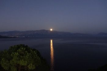صورة الفندق 24