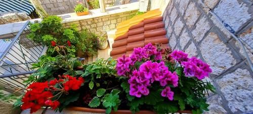صورة الفندق 21