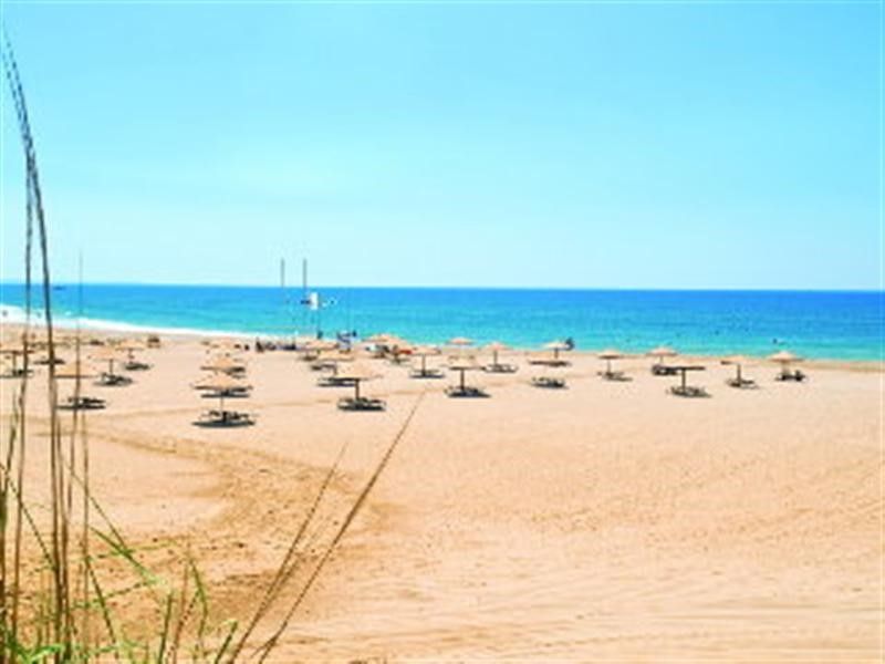 صورة الفندق 8