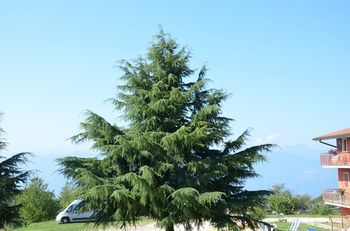 صورة الفندق 20