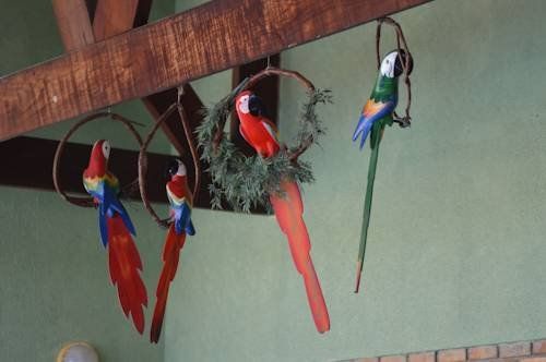 صورة الفندق 14