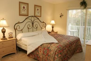 Disney Area Executive Homes