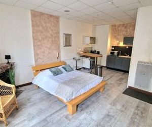 Apparthotel Roanne France
