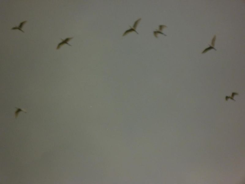 صورة الفندق 17