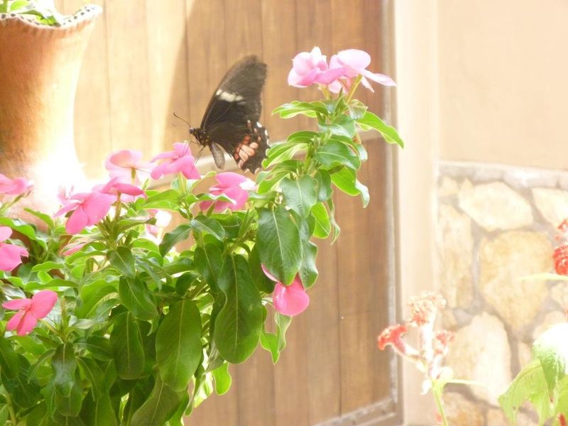 صورة الفندق 10