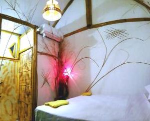 The Rabbit Tree Hostel Gili Meno Indonesia