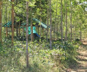 Civet Creek Madikeri India
