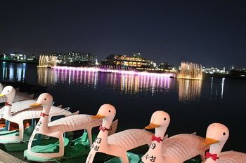 صورة الفندق 23