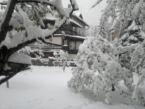 Hotel Photo 11