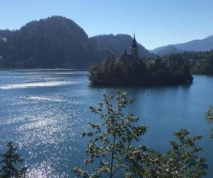 Sovica Bled Slovenia
