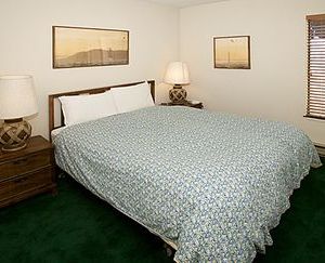 Summit 238 - One Bedroom Condo Old Mammoth United States
