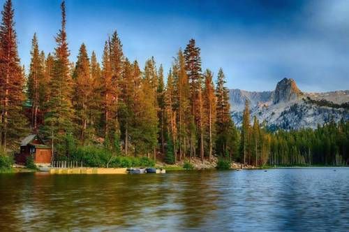 صورة الفندق 15