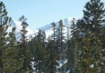 صورة الفندق 9