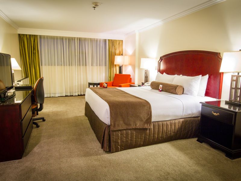 Hotel Photo 4