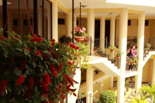Hotel Photo 17
