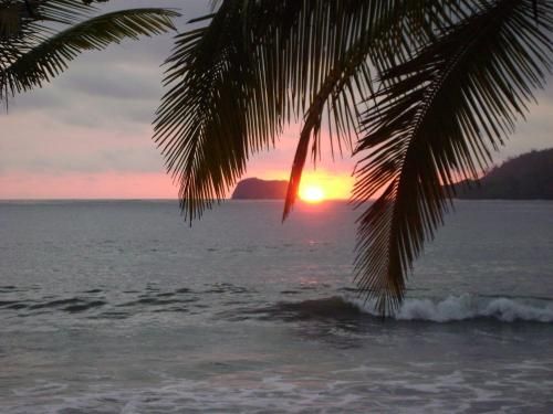 صورة الفندق 23
