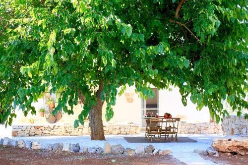 صورة الفندق 10