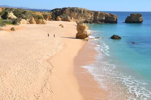صورة الفندق 4