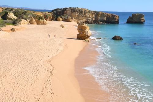 صورة الفندق 5