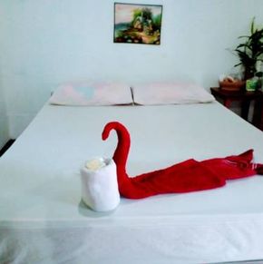 NearBy Hotel