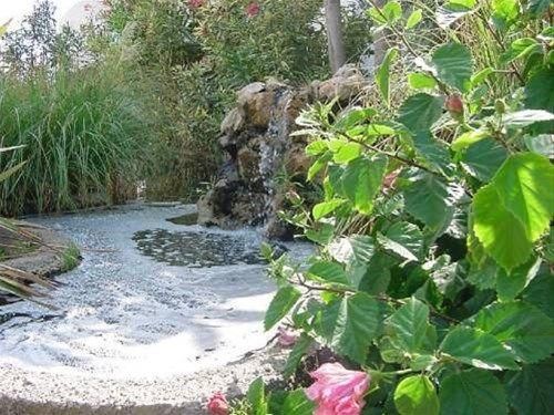 صورة الفندق 10