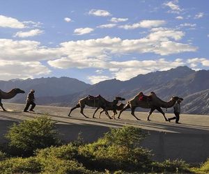 Nubra Leisure Camp Hundar India